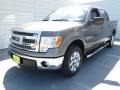 Sterling Gray Metallic - F150 XLT SuperCrew Photo No. 6