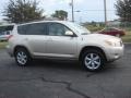 Savannah Metallic - RAV4 Limited Photo No. 3