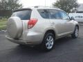 Savannah Metallic - RAV4 Limited Photo No. 4