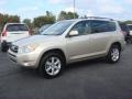 Savannah Metallic - RAV4 Limited Photo No. 7