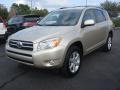 Savannah Metallic - RAV4 Limited Photo No. 8