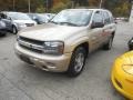 Sandstone Metallic - TrailBlazer LS 4x4 Photo No. 2