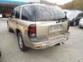 Sandstone Metallic - TrailBlazer LS 4x4 Photo No. 3