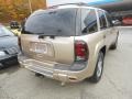 Sandstone Metallic - TrailBlazer LS 4x4 Photo No. 4