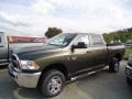 Sagebrush Pearl 2012 Dodge Ram 2500 HD ST Crew Cab 4x4