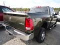 Sagebrush Pearl - Ram 2500 HD ST Crew Cab 4x4 Photo No. 5