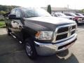 Sagebrush Pearl - Ram 2500 HD ST Crew Cab 4x4 Photo No. 6
