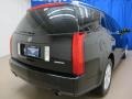 Black Raven - SRX V6 Photo No. 9