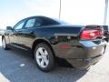 Pitch Black - Charger SE Photo No. 5