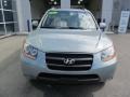 2008 Platinum Sage Hyundai Santa Fe Limited 4WD  photo #4