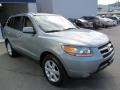 2008 Platinum Sage Hyundai Santa Fe Limited 4WD  photo #5