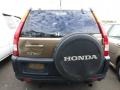 2002 Mojave Mist Metallic Honda CR-V LX 4WD  photo #3