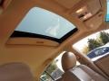 Pebble Beach Metallic - Maxima 3.5 SL Photo No. 16