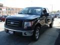 Green Gem Metallic - F150 XL SuperCab 4x4 Photo No. 4