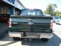 Green Gem Metallic - F150 XL SuperCab 4x4 Photo No. 7