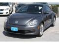 Platinum Gray Metallic - Beetle 2.5L Photo No. 3