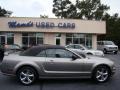 Vapor Silver Metallic 2008 Ford Mustang Gallery