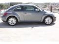 Platinum Gray Metallic - Beetle 2.5L Photo No. 5