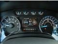 Steel Gray Gauges Photo for 2013 Ford F150 #71766690