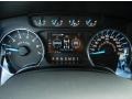 Steel Gray Gauges Photo for 2013 Ford F150 #71766798