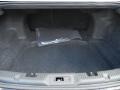 Dune Trunk Photo for 2013 Ford Taurus #71766933