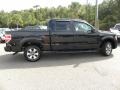 Ebony Black - F150 XLT SuperCrew Photo No. 13