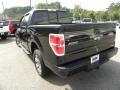 Ebony Black - F150 XLT SuperCrew Photo No. 17