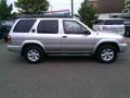 Chrome Silver Metallic - Pathfinder SE 4x4 Photo No. 3