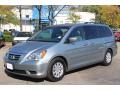 2010 Slate Green Metallic Honda Odyssey EX  photo #1