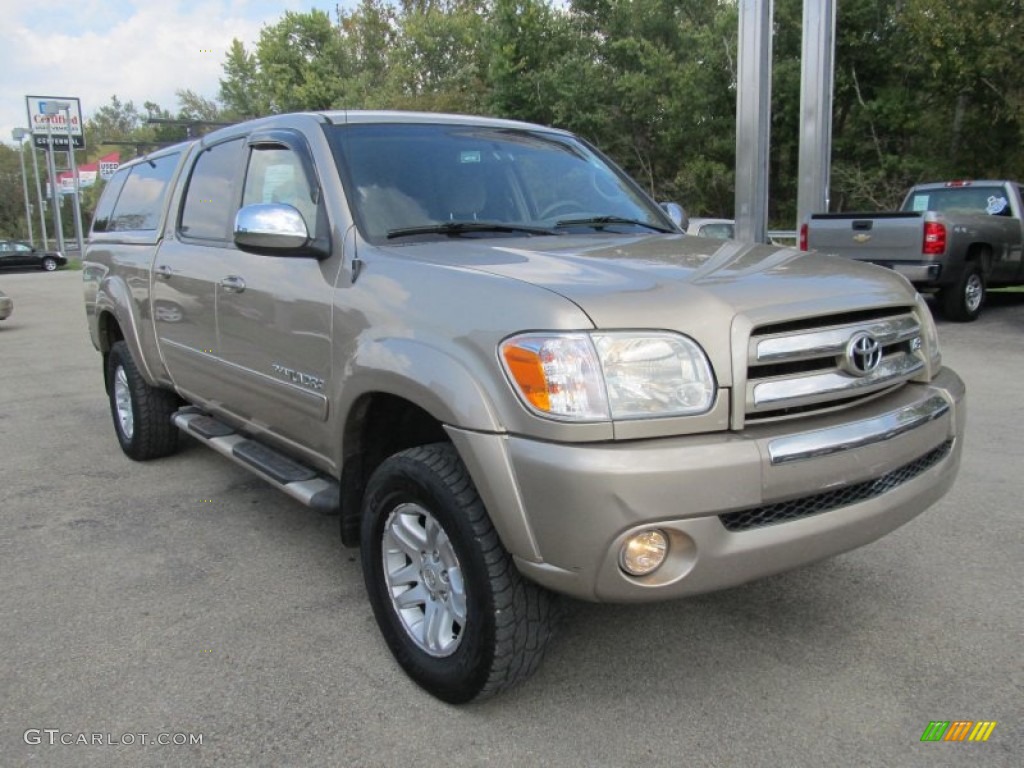 2005 Tundra SR5 Double Cab 4x4 - Desert Sand Mica / Taupe photo #9