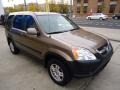 2002 Mojave Mist Metallic Honda CR-V EX 4WD  photo #3