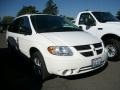 Stone White - Grand Caravan SXT Photo No. 1