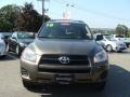 Pyrite Metallic - RAV4 I4 4WD Photo No. 2