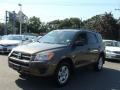 Pyrite Metallic - RAV4 I4 4WD Photo No. 3