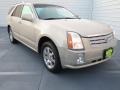 2007 Gold Mist Cadillac SRX V6  photo #1