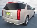 2007 Gold Mist Cadillac SRX V6  photo #3