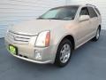 2007 Gold Mist Cadillac SRX V6  photo #6