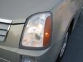 Gold Mist - SRX V6 Photo No. 8
