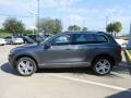 Canyon Gray Metallic - Touareg TDI Executive 4XMotion Photo No. 4