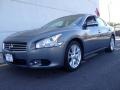Ocean Gray - Maxima 3.5 SV Photo No. 1