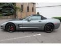 2004 Medium Spiral Gray Metallic Chevrolet Corvette Convertible  photo #8