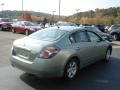 Metallic Jade - Altima Hybrid Photo No. 6