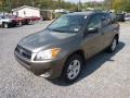 Pyrite Metallic - RAV4 I4 4WD Photo No. 3