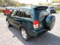 Rainforest Green Pearl - RAV4 4WD Photo No. 4