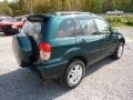 Rainforest Green Pearl - RAV4 4WD Photo No. 6