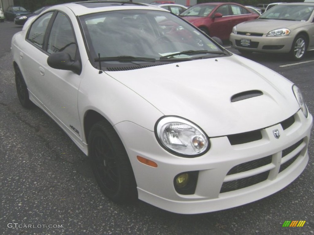 2005 Neon SRT-4 - Stone White / Dark Slate Gray photo #3