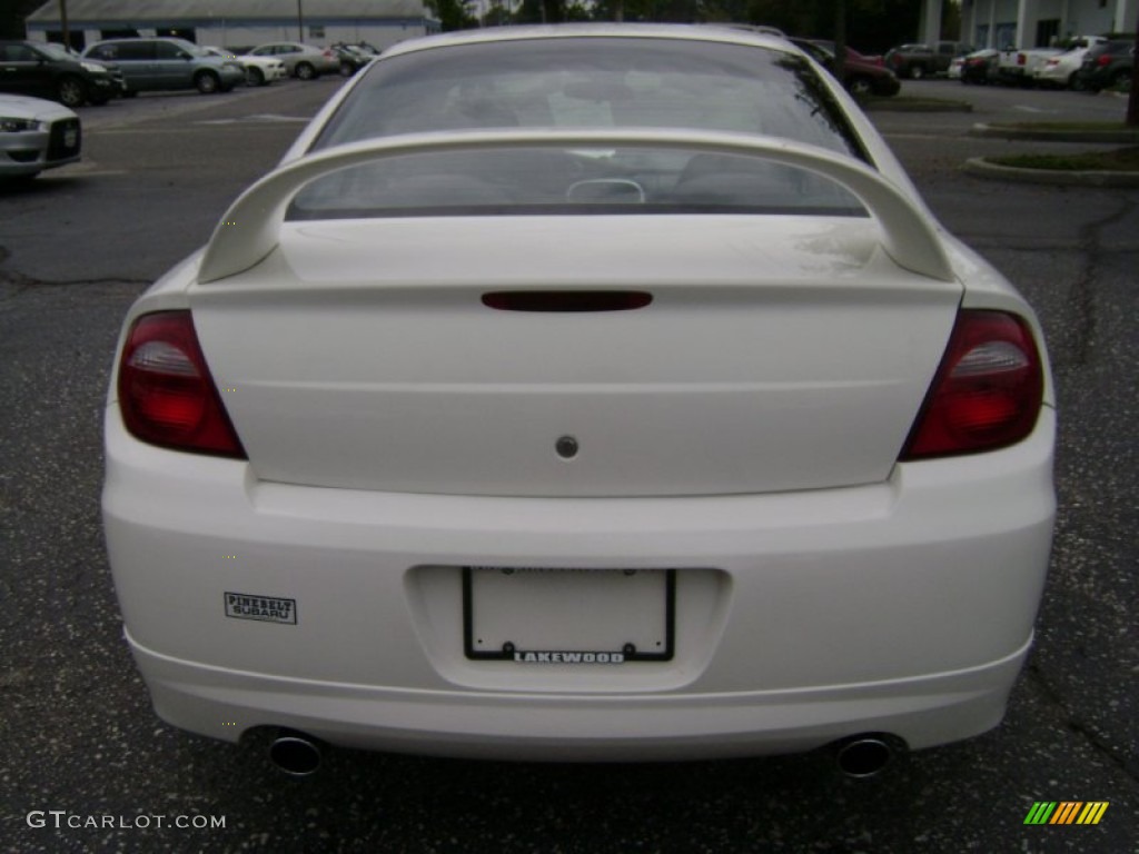 2005 Neon SRT-4 - Stone White / Dark Slate Gray photo #5