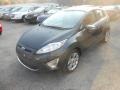 2011 Monterey Grey Metallic Ford Fiesta SES Hatchback  photo #3