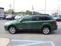 Cypress Green Pearl 2010 Subaru Outback 2.5i Premium Wagon Exterior