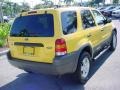 2001 Chrome Yellow Metallic Ford Escape XLT V6  photo #3